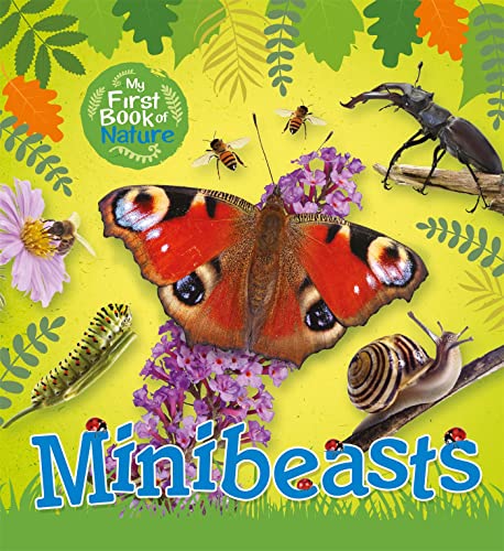 Imagen de archivo de Minibeasts (My First Book of Nature) a la venta por AwesomeBooks