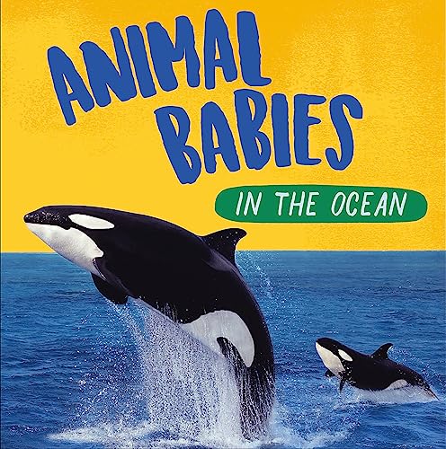 Imagen de archivo de Animal Babies in the Ocean a la venta por Blackwell's