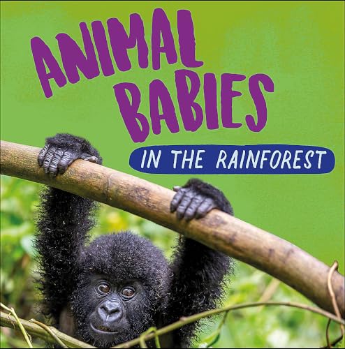 Imagen de archivo de Animal Babies in the Rainforest a la venta por Blackwell's