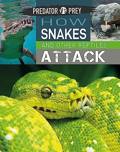 Beispielbild fr Predator vs Prey: How Snakes and other Reptiles Attack! zum Verkauf von PlumCircle