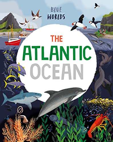 Stock image for The Atlantic Ocean for sale by Blackwell's