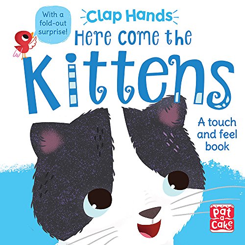 Beispielbild fr Here Come the Kittens: A touch-and-feel board book with a fold-out surprise (Clap Hands) zum Verkauf von AwesomeBooks
