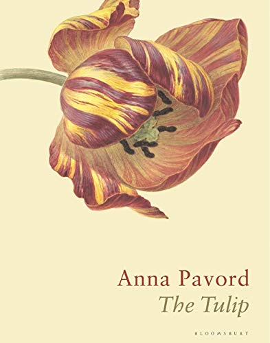 9781526602688: The Tulip: The Story of a Flower That Has Made Men Mad