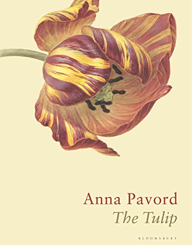 9781526602688: The Tulip: The Story of a Flower That Has Made Men Mad