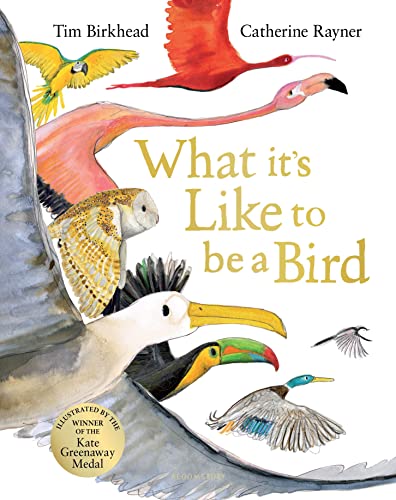 Beispielbild fr What It Is Like To Be A Bird zum Verkauf von GreatBookPrices