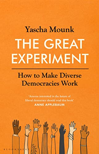 Imagen de archivo de The Great Experiment: How to Make Diverse Democracies Work a la venta por WorldofBooks