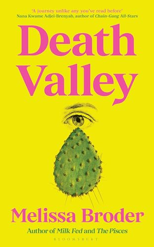 Imagen de archivo de Death Valley a la venta por GreatBookPrices
