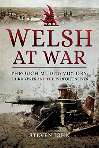 Stock image for The Welsh at War for sale by Blackwell's
