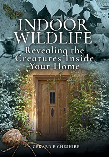 9781526751744: Indoor Wildlife: Revealing the Creatures Inside Your Home