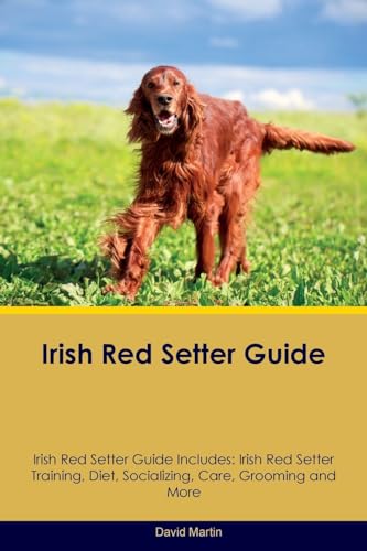 Stock image for Irish Red Setter Guide Irish Red Setter Guide Includes: Irish Red Setter Training, Diet, Socializing, Care, Grooming, Breeding and More for sale by Reuseabook