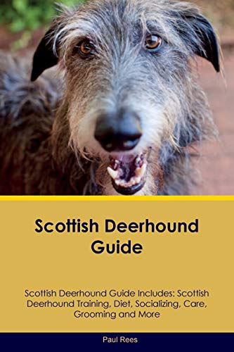 Stock image for Scottish Deerhound Guide Scottish Deerhound Guide Includes: Scottish Deerhound Training, Diet, Socializing, Care, Grooming, Breeding and More for sale by medimops