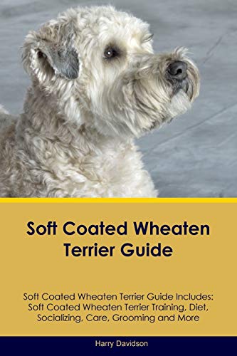 Stock image for Soft Coated Wheaten Terrier Guide Soft Coated Wheaten Terrier Guide Includes: Soft Coated Wheaten Terrier Training, Diet, Socializing, Care, Grooming, for sale by ThriftBooks-Atlanta