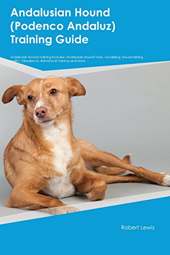 Stock image for Andalusian Hound (Podenco Andaluz) Training Guide Andalusian Hound Training Includes: Andalusian Hound Tricks, Socializing, Housetraining, Agility, Obedience, Behavioral Training and More for sale by Reuseabook