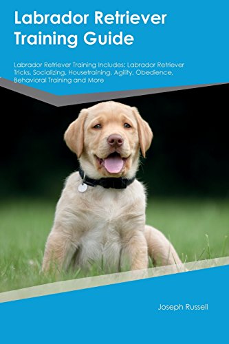 Stock image for Labrador Retriever Training Guide Labrador Retriever Training Includes: Labrador Retriever Tricks, Socializing, Housetraining, Agility, Obedience, Behavioral Training and More for sale by WorldofBooks