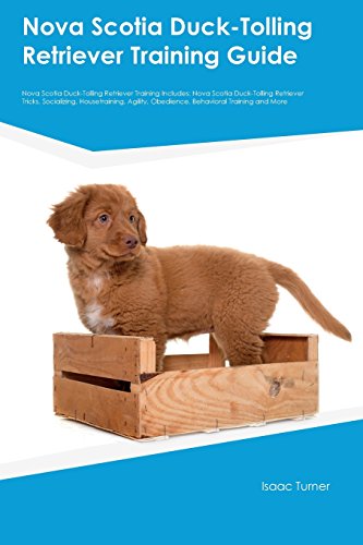 Stock image for Nova Scotia Duck-Tolling Retriever Training Guide Nova Scotia Duck-Tolling Retriever Training Includes: Nova Scotia Duck-Tolling Retriever Tricks, . Obedience, Behavioral Training and More for sale by Reuseabook