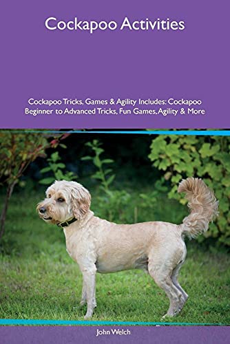 Stock image for Cockapoo Activities Cockapoo Tricks, Games & Agility Includes: Cockapoo Beginner to Advanced Tricks, Fun Games, Agility & More for sale by ThriftBooks-Atlanta