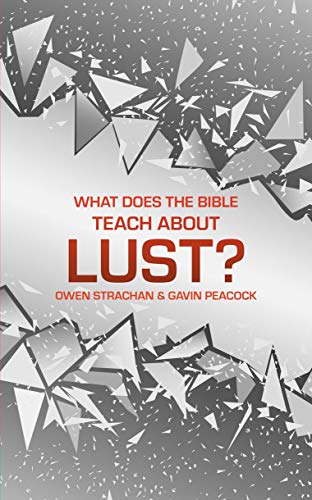 Beispielbild fr What Does the Bible Teach About Lust? zum Verkauf von Blackwell's