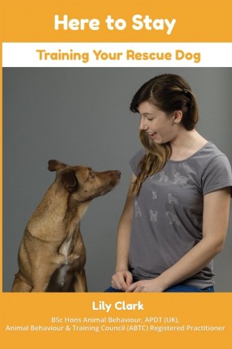 Beispielbild fr Here to Stay: Training Your Rescue Dog zum Verkauf von AwesomeBooks