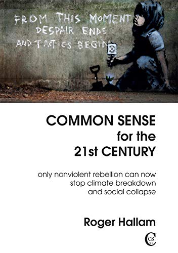 Stock image for Common Sense for the 21st Cent for sale by SecondSale