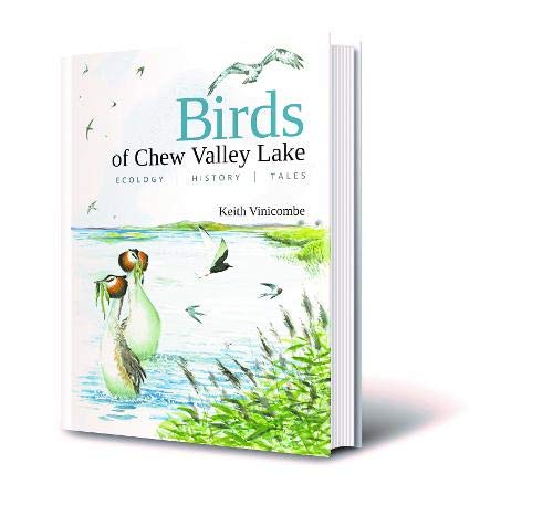Stock image for Birds of Chew Valley Lake for sale by Books for Amnesty Bristol
