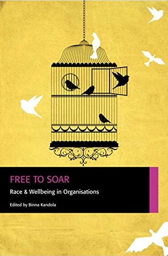 Imagen de archivo de Free to Soar: Race and Wellbeing in Organisations a la venta por AwesomeBooks
