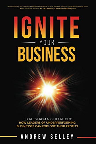 Beispielbild fr IGNITE Your Business: Secrets From a 10-Figure CEO: How Leaders of Underperforming Businesses can Explode Their Profits zum Verkauf von WorldofBooks