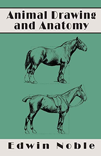 9781528705035: Animal Drawing And Anatomy