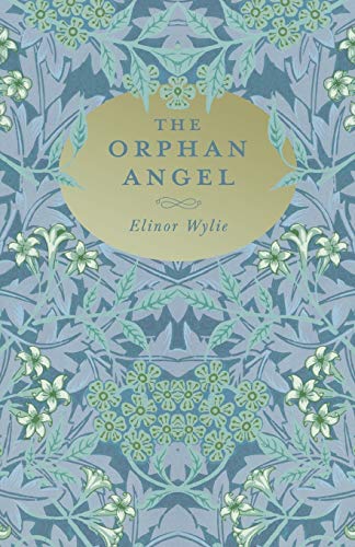 Imagen de archivo de The Orphan Angel: With an Essay By Martha Elizabeth Johnson a la venta por Lucky's Textbooks