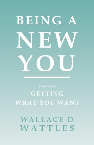 Imagen de archivo de Being a New You: Essays on Getting What You Want a la venta por Lucky's Textbooks