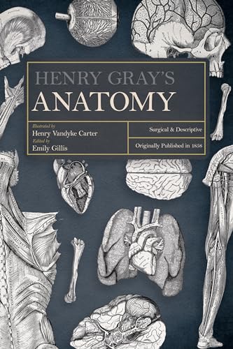 Stock image for Henry Gray's Anatomy: Descriptive and Surgical for sale by ThriftBooks-Dallas