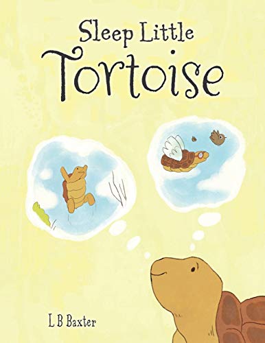 Beispielbild fr Sleep Little Tortoise zum Verkauf von Books Unplugged