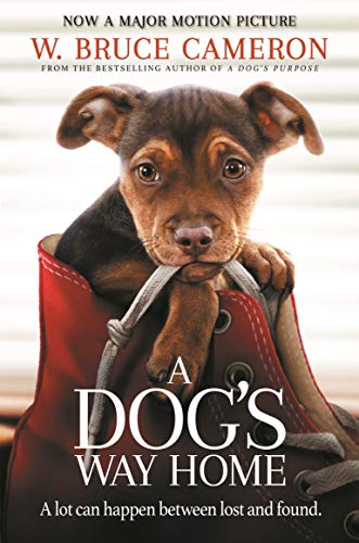 9781529002690: A Dogs Way Home: The Heartwarming Story of the Special Bond Between Man and Dog (A Dog's Way Home, 1)