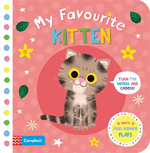 Beispielbild fr My Favourite Kitten zum Verkauf von AwesomeBooks