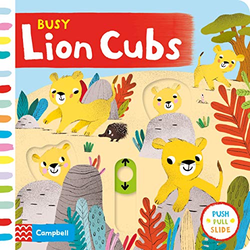 Beispielbild fr Busy Lion Cubs (Busy Books) zum Verkauf von AwesomeBooks