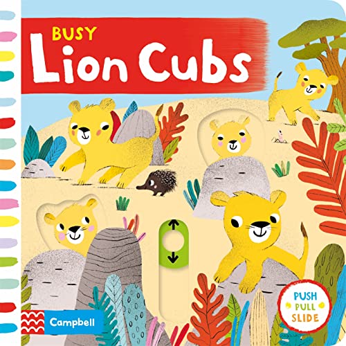 Imagen de archivo de Busy Lion Cubs (Busy Books) a la venta por AwesomeBooks