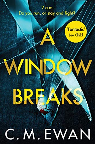 9781529009675: A Window Breaks