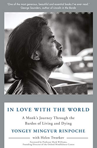 Imagen de archivo de In Love with the World: A Monks Journey Through the Bardos of Living and Dying a la venta por Goodwill of Colorado