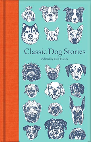 Imagen de archivo de Classic Dog Stories (Macmillan Collector's Library) a la venta por BooksRun