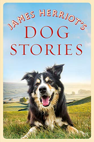Beispielbild fr James Herriot's Dog Stories zum Verkauf von Blackwell's