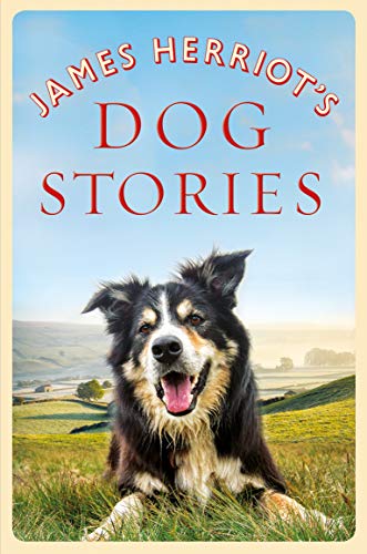 Imagen de archivo de James Herriots Dog Stories a la venta por SecondSale