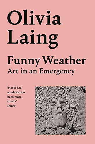 Beispielbild fr Funny Weather zum Verkauf von GreatBookPrices