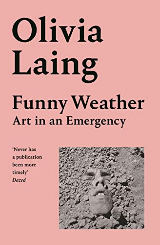 9781529027655: Funny Weather: Art in an Emergency