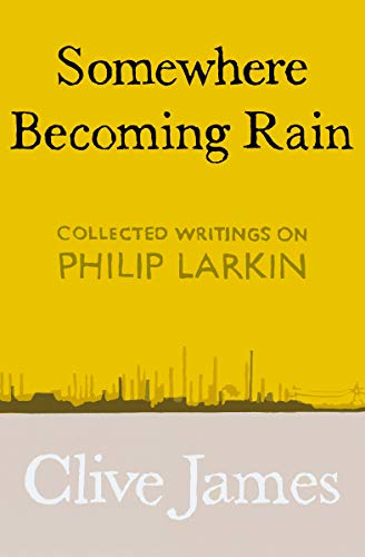 Stock image for Somewhere Becoming Rain for sale by Blackwell's