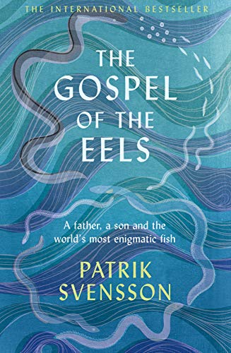 Stock image for The Gospel of the Eels for sale by Blackwell's