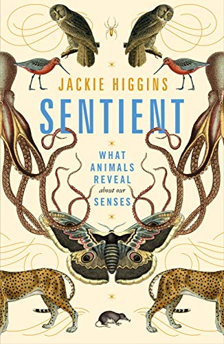Beispielbild fr Sentient: What Animals Reveal About Our Senses zum Verkauf von WorldofBooks