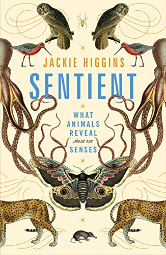 Stock image for Sentient: What Animals Reveal About Our Senses for sale by WorldofBooks