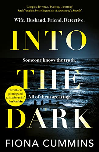 Stock image for Into the Dark for sale by WorldofBooks