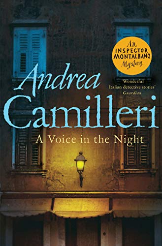 9781529043983: A Voice in the Night