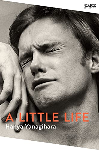 Imagen de archivo de A Little Life (Picador Collection, 5) a la venta por WorldofBooks