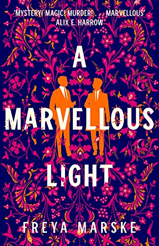 Stock image for A Marvellous Light for sale by Book Grove, RMABA